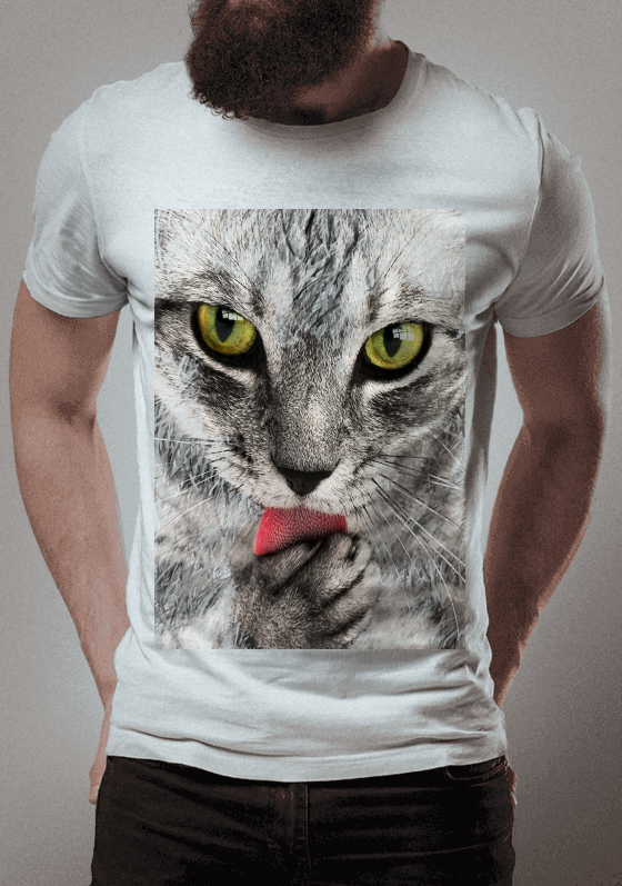  Scratched cat
