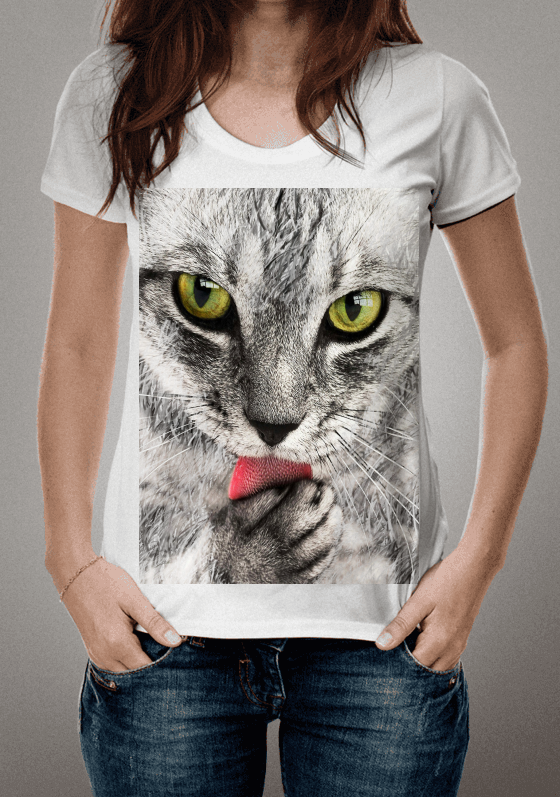 Scratched cat