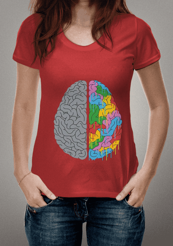 A DIVISÃO DA SOCIEDADE 