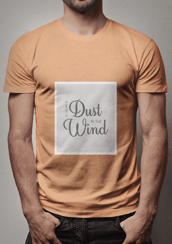 All we are is dust in the wind