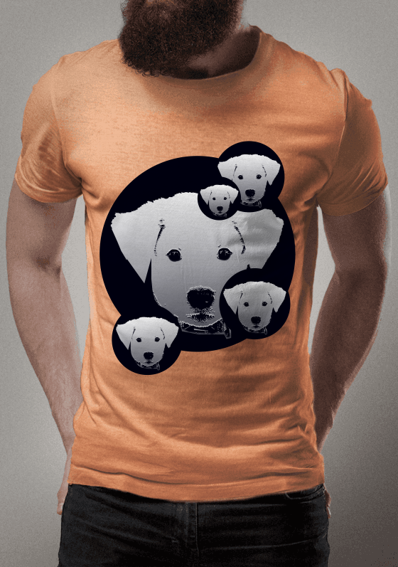 Animais domésticos