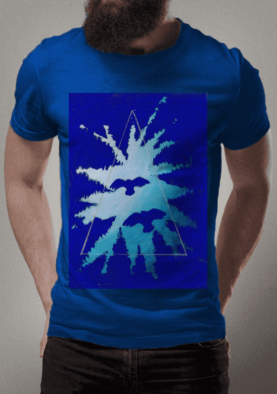 Nome do produto  anoitecer com pássaros 