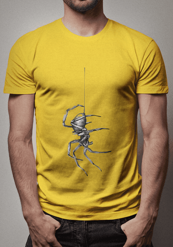 Nome do produto  Aranha1