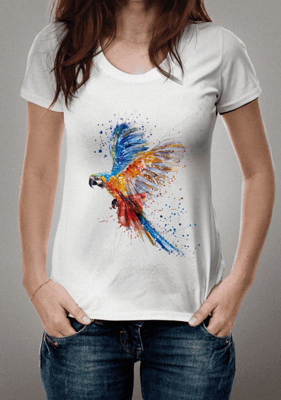 Nome do produto  Arara