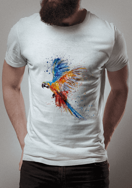 Nome do produto  Arara