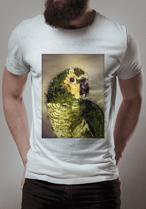 Nome do produto  Arara