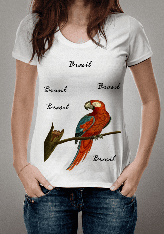 Nome do produto  Arara Brasileira