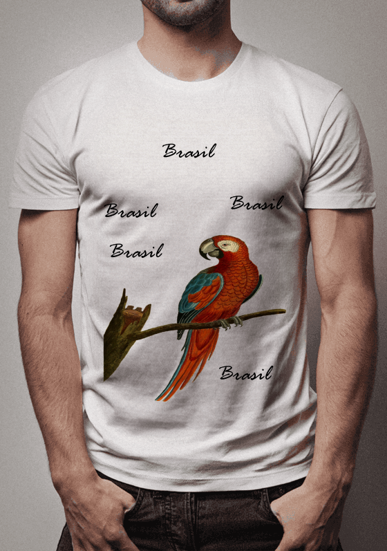 Nome do produto  Arara Brasileira