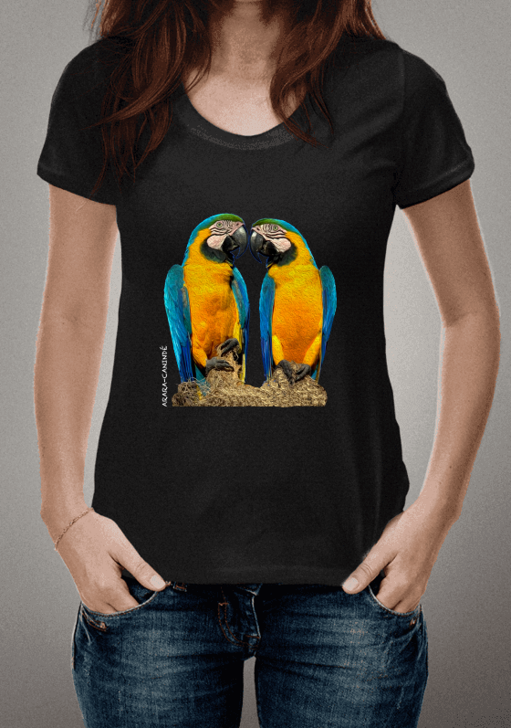 Nome do produto  Arara-Canindé