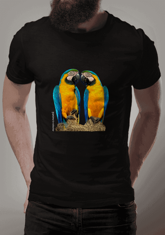 Nome do produto  Arara-Canindé