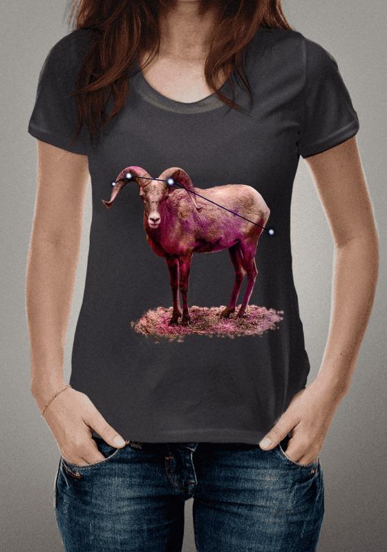 Nome do produto  Aries 