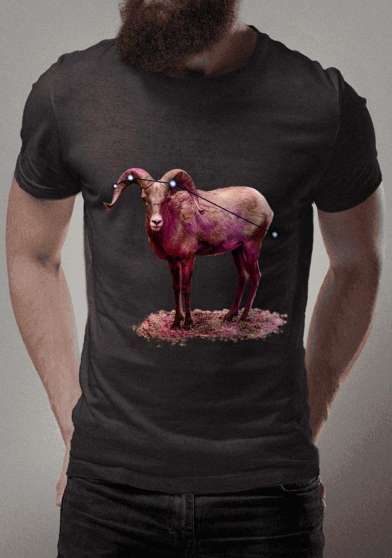 Nome do produto  Aries 