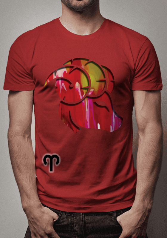 Nome do produto  aries 2