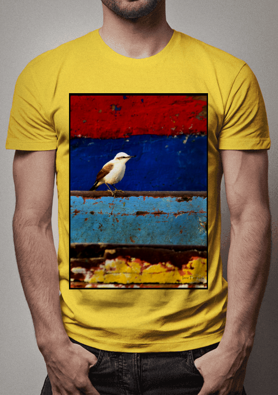 Nome do produto  As Cores de Garatucaia 