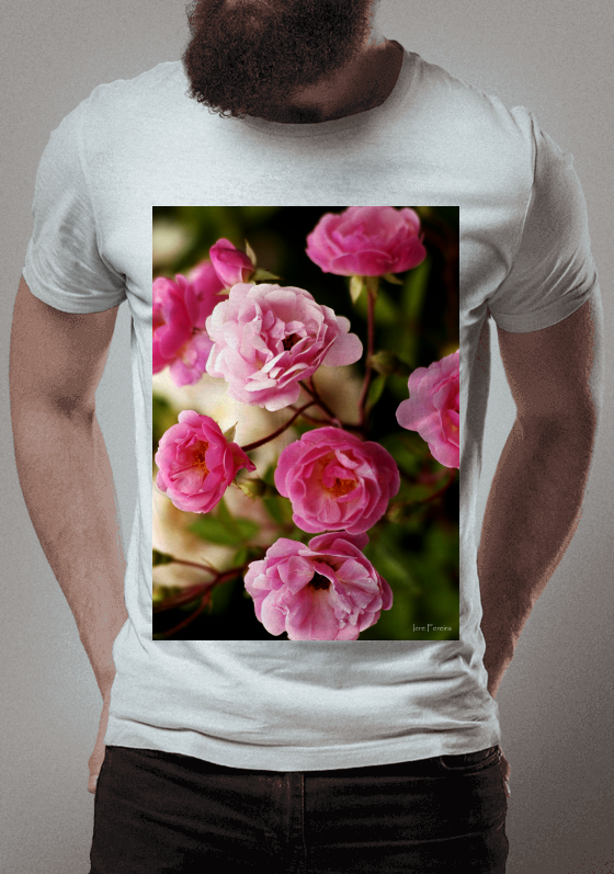 Nome do produto  As Rosas