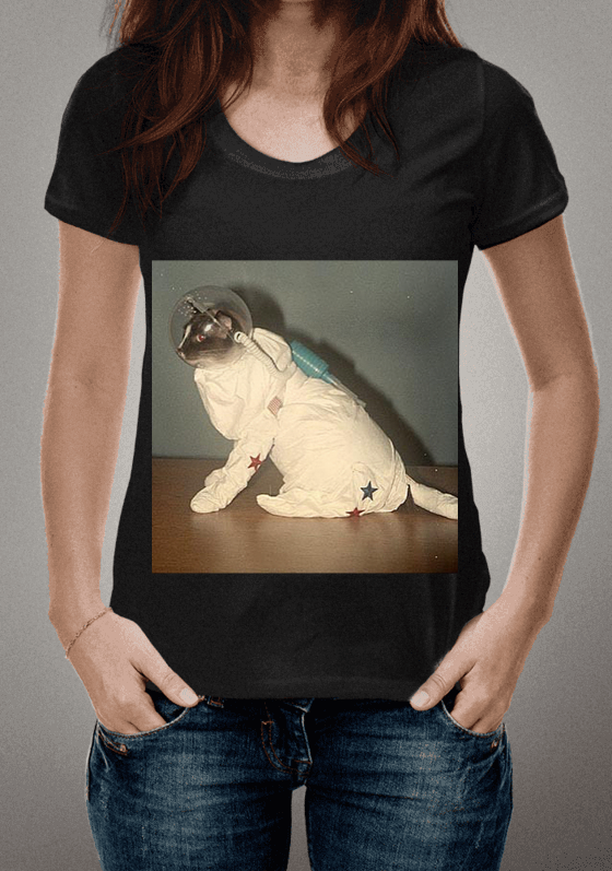 Nome do produto  Astrocat