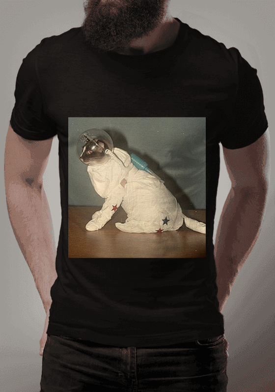 Nome do produto  Astrocat