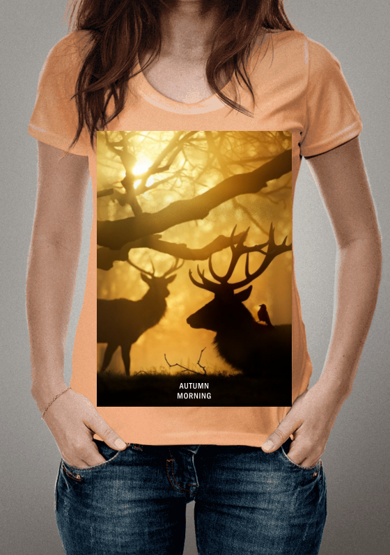 Nome do produto  autumn morning