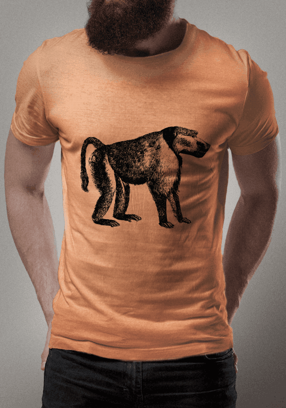 Nome do produto  Babuino 2