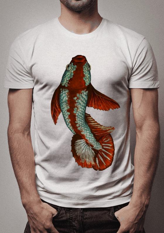 Nome do produto  Betta Plakat