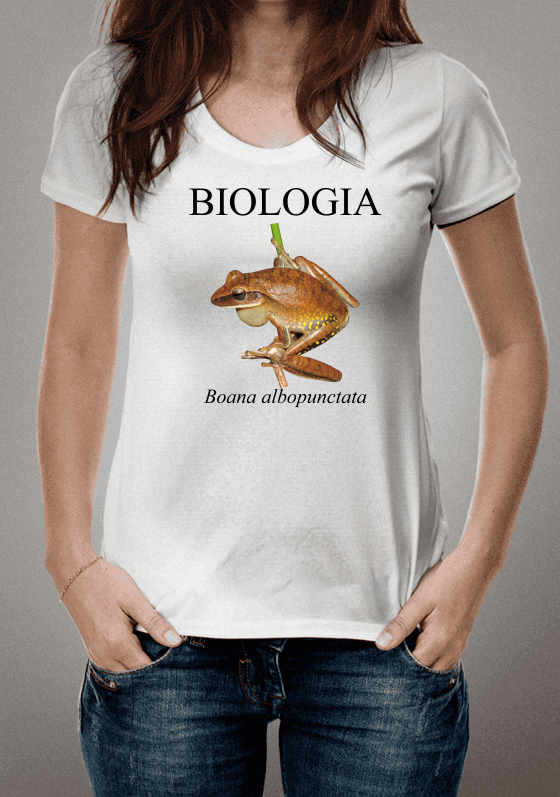 Nome do produto  Biologia Boana albopunctata