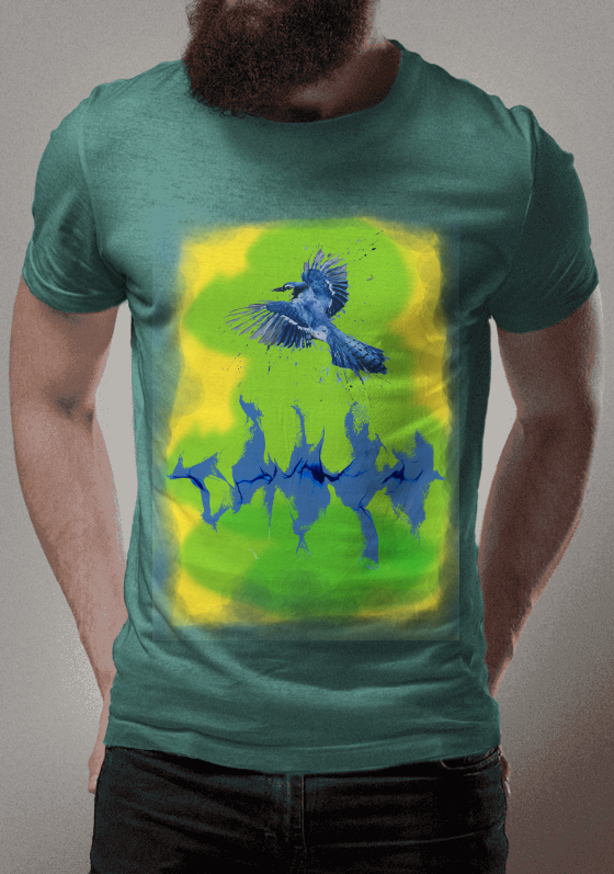 Nome do produto  bird sound