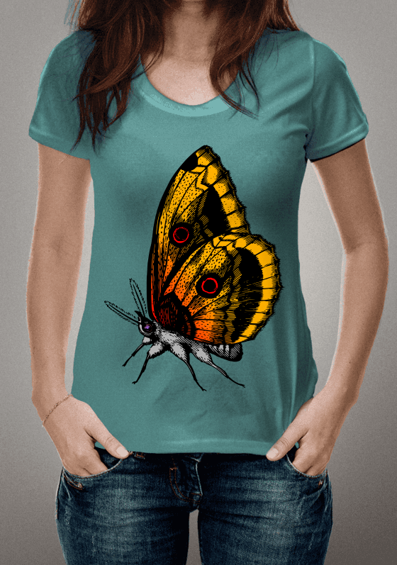 Nome do produto  Borboleta