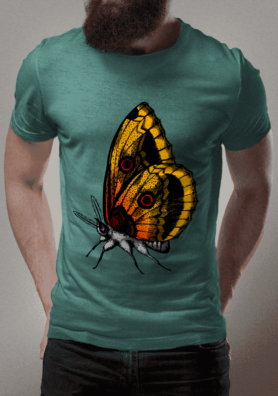 Nome do produto  Borboleta