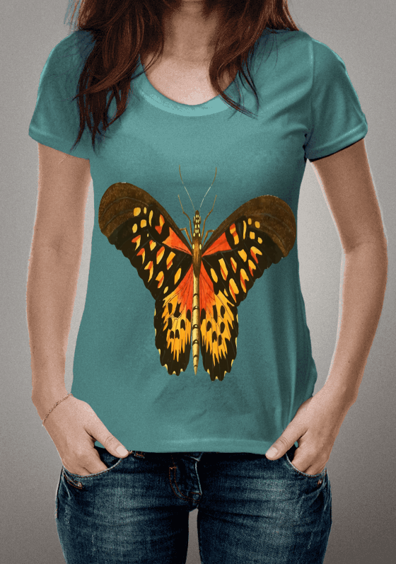 Borboleta Alarenjada