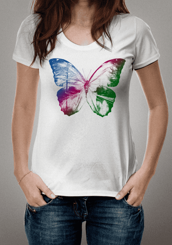 Butterfly on the road