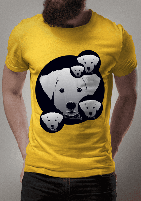 Cachorros