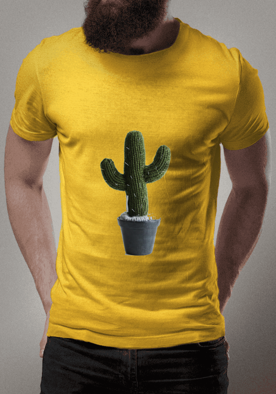 Nome do produto  Cacto