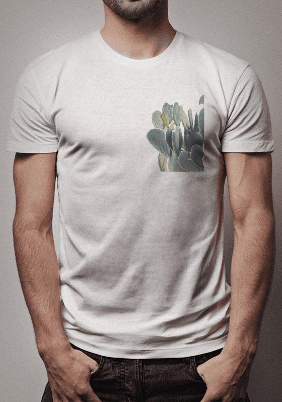 Nome do produto  Cactus