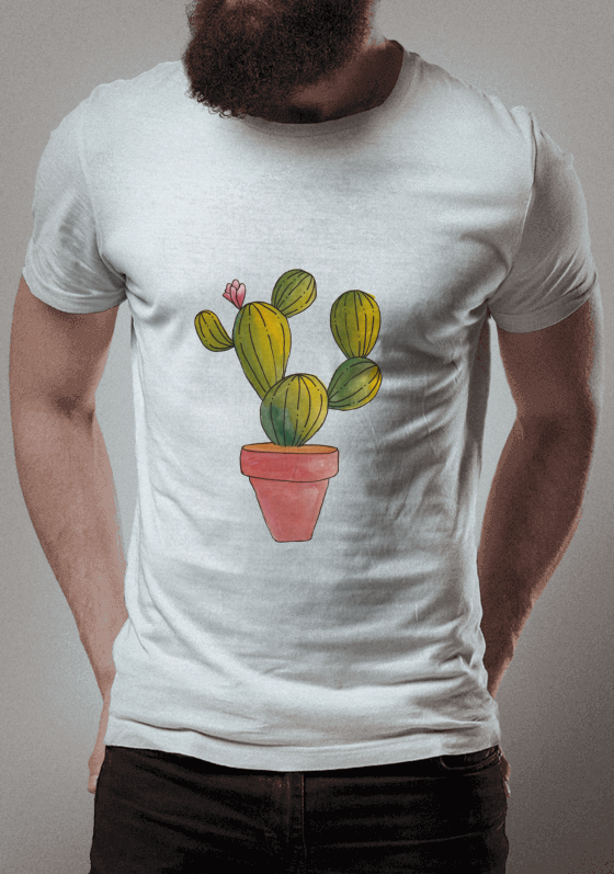 Nome do produto  Cactus