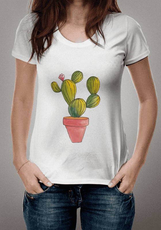 Nome do produto  Cactus