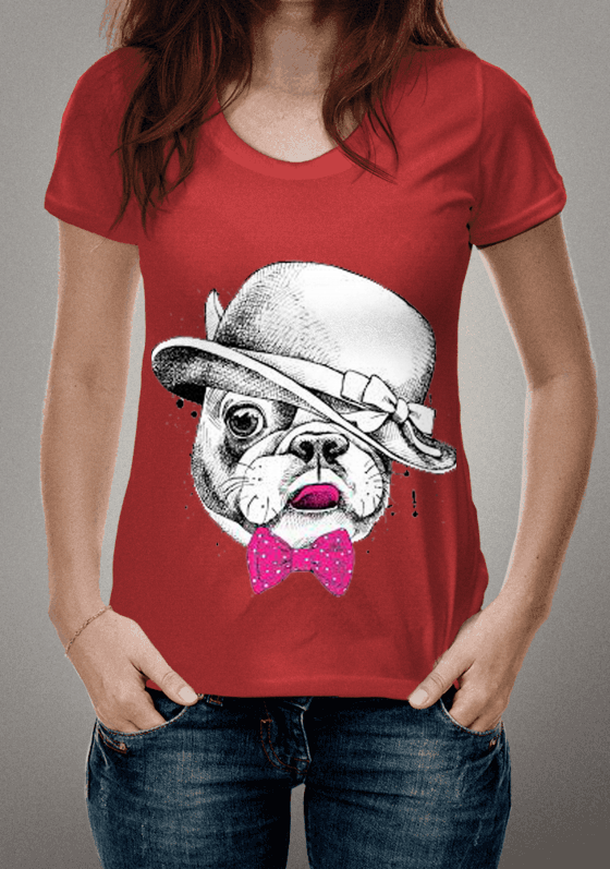 Nome do produto  Camisa cachorro com Chapéu 