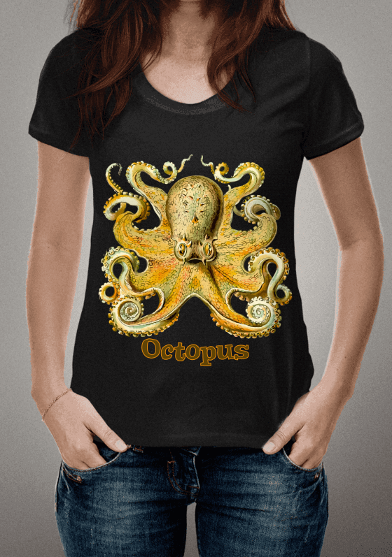 Nome do produto  Camisa Octopus