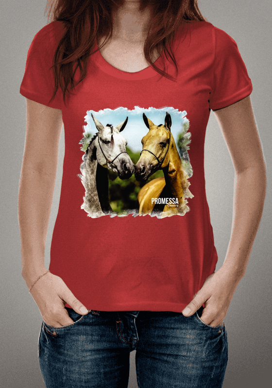 Nome do produto: Camisa Promessa Country - Quadro Cavalo