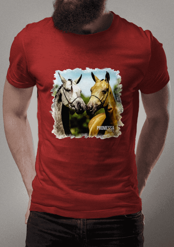 Nome do produto  Camisa Promessa Country - Quadro Cavalo
