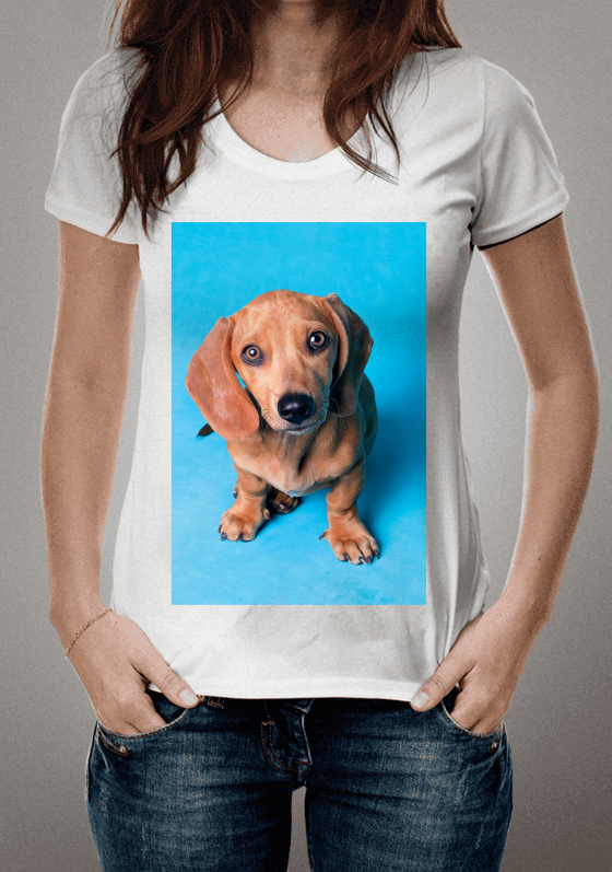 Camisa The dog