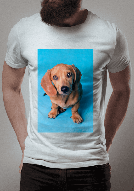 Camisa The dog