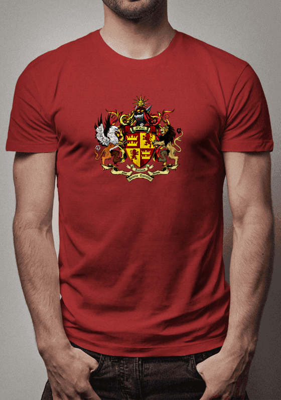 Camiseta Brasão Irlandês 