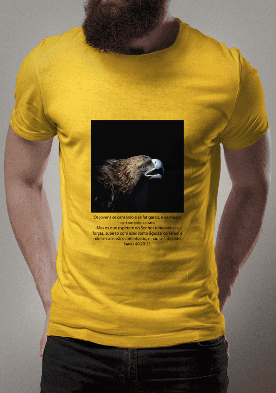 Nome do produto: Camiseta Subirão com Asas como Águia