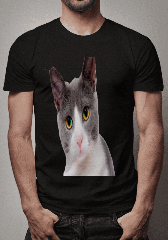 Nome do produto  CAT