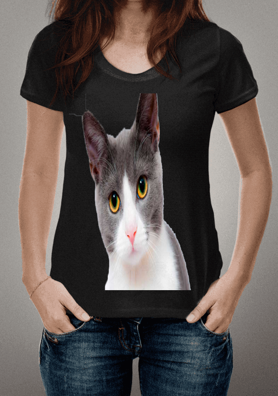 Nome do produto  CAT