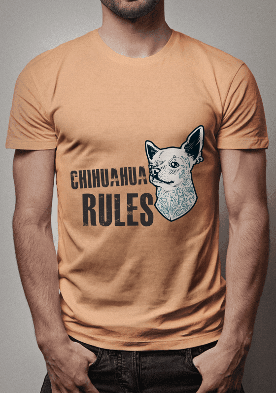chihuahua pet cachorro rules detona