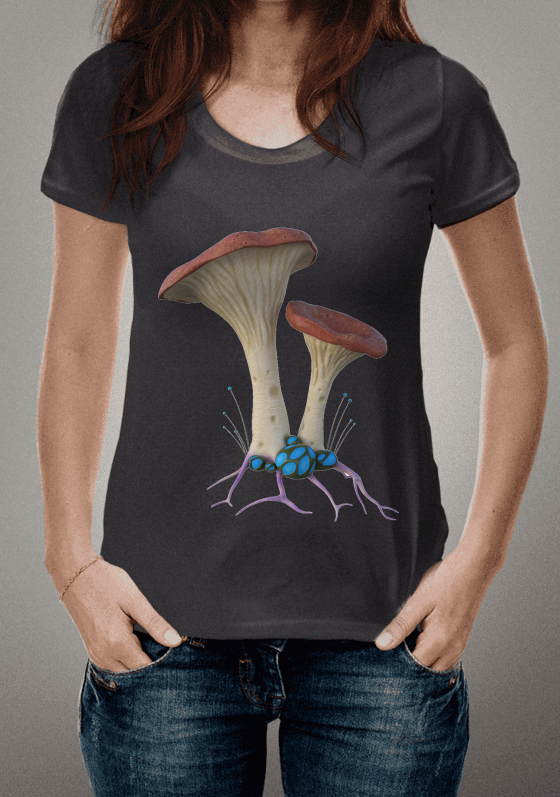 Nome do produto  Cogumelo