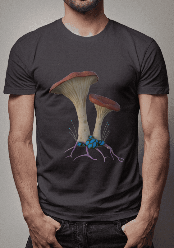 Nome do produto  Cogumelo