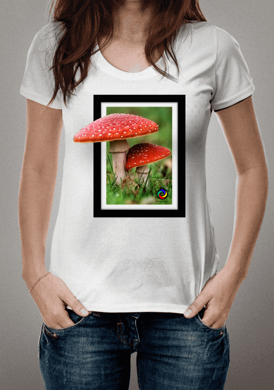 Nome do produto  Cogumelo Frame