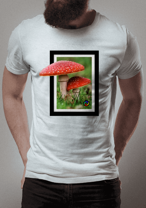 Nome do produto  Cogumelo Frame